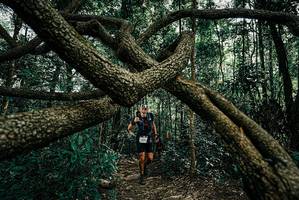 BIB: 
                            <button type="button" onclick="openModal(25664330)" class="btn btn-primary btn-sm float-right btn-popup" data-toggle="modal" data-target=".modal-high-quality">
                        <i class="fas fa-shopping-cart"></i> Add to Cart
                    </button>
                                            <button type="button" onclick="isThisMe(25664330, true)" class="btn btn-success btn-sm float-right btn-popup btn-isme hidden" data-toggle="tooltip" data-placement="bottom" title="นี่คือรูปของคุณใช่ไหม คลิกที่นี่เพื่อเอาเข้าอัลบั้ม">
                        <i class="fas fa-plus"></i> Add to album
                    </button>
                    <button type="button" onclick="isThisMe(25664330, false)" class="btn btn-warning btn-sm float-right btn-popup btn-isnotme hidden">
                        <i class="fas fa-ban"></i> Remove from album
                    </button>